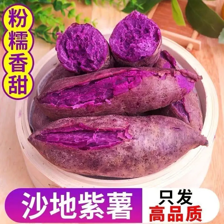 【小眼静专属】紫薯现挖现发正宗沙地紫罗兰蜜薯番薯地瓜 当季蔬菜