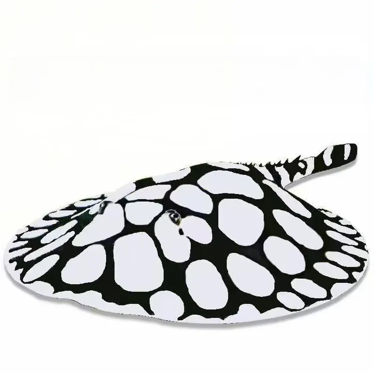 黑白皇冠魟鱼黑色鱼水族鱼观赏鱼淡水观赏鱼皇冠魟鱼