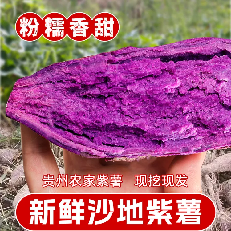 农家紫薯现挖带泥紫薯新鲜沙地紫薯农家自种粉糯香甜紫薯产地直发