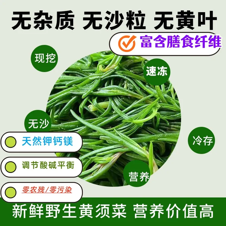 焯水速冻黄须菜营养丰富 口感鲜嫩 自然生长凉拌 蒸菜 水饺 包子