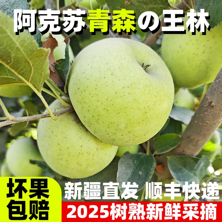 新疆王林苹果阿克苏苹果5斤8斤礼盒新鲜水果香甜酥脆爆汁皮薄无渣
