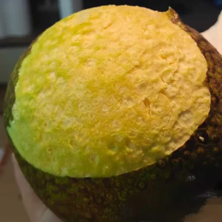 顺丰现货直发新鲜现摘面包果网红热带水果蒸煮炸炒炖烤皆可