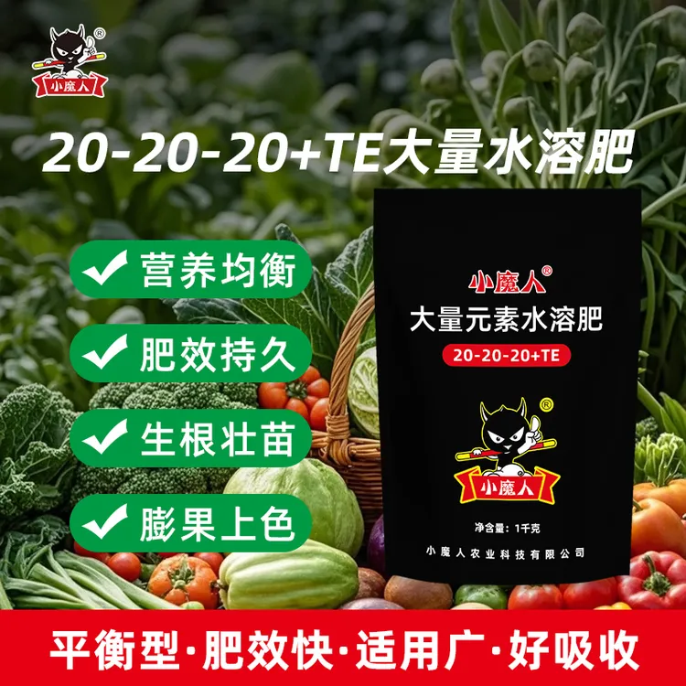小魔人大量元素水溶肥20-20-20平衡型蔬菜果树通用复合肥料