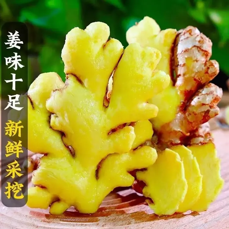 云南小黄姜正宗嫩姜新鲜生姜老姜菜姜嫩姜云南老黄姜调味姜原产地