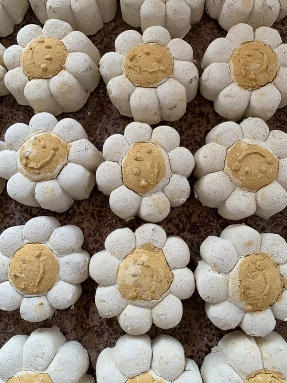 烟熏土 太阳花（非可食用）异食专属