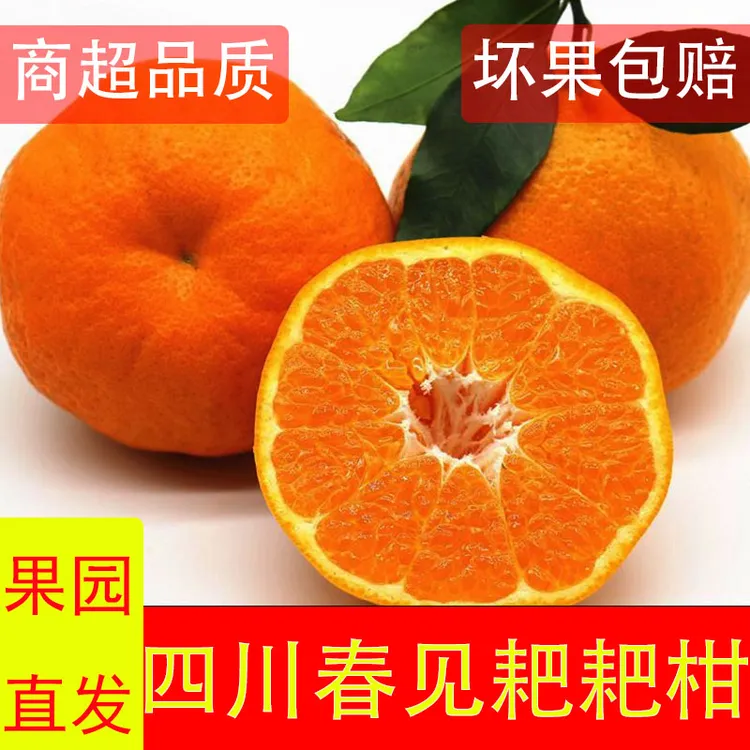 正宗四川春见耙耙柑5斤橘子精选水果整箱产地直发当季新鲜头摘甜