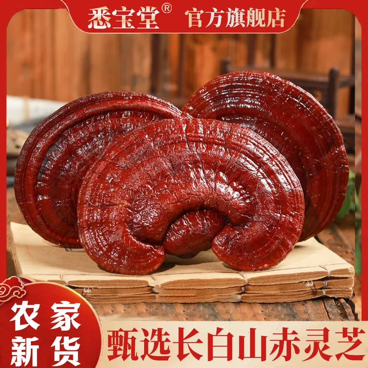 长白山正品赤灵芝深山干货整枝灵芝煲汤炖鸡泡茶泡酒专用东北特产