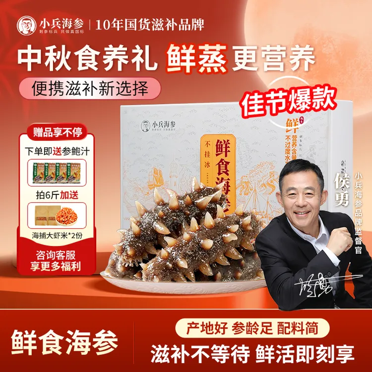 【金秋爆款】侯勇推荐小兵鲜食即食正宗大连辽海参新鲜营养正宗辽参