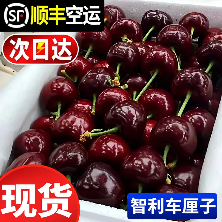 特级果王5斤J-5J进口智利拉宾斯海运车厘子爆汁内附果径卡