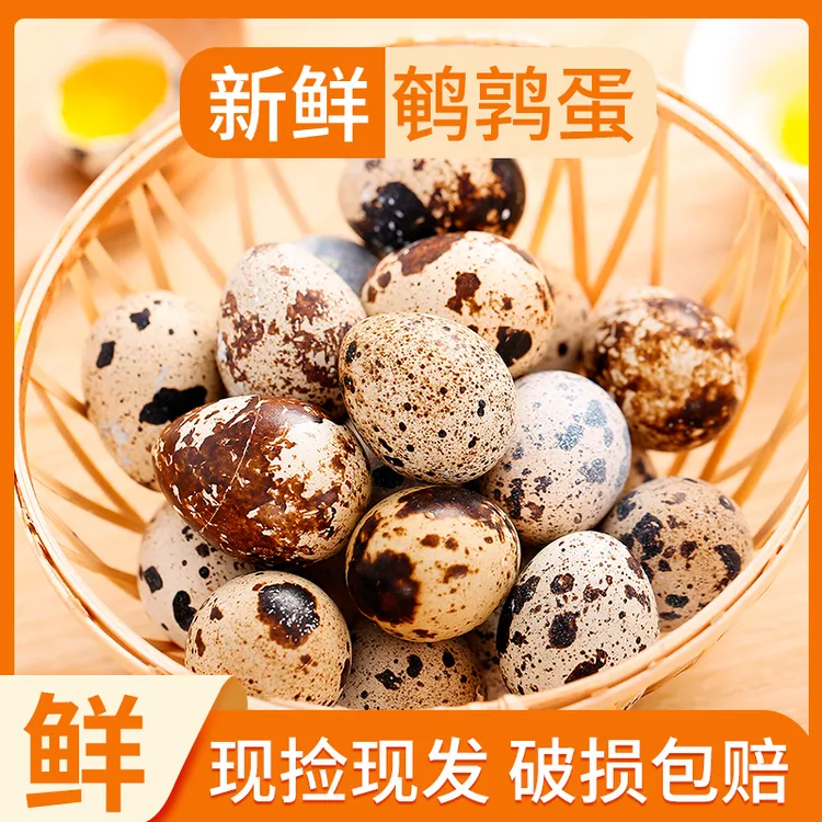 新鲜鹌鹑蛋50枚杂粮喂养鹌鹑蛋生蛋鹑鸟蛋小鸟蛋宝宝辅食整箱主