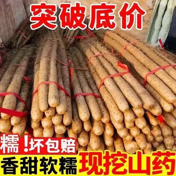 正宗铁棍山药软糯香甜营养美味产地直发新鲜蔬菜河南铁棍山药