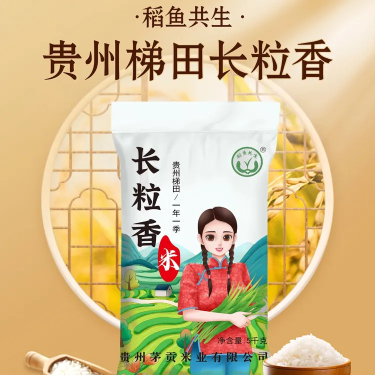 稻鱼共生贵州梯田大米 稻鱼共生 一年一季 新米 长粒香 香米