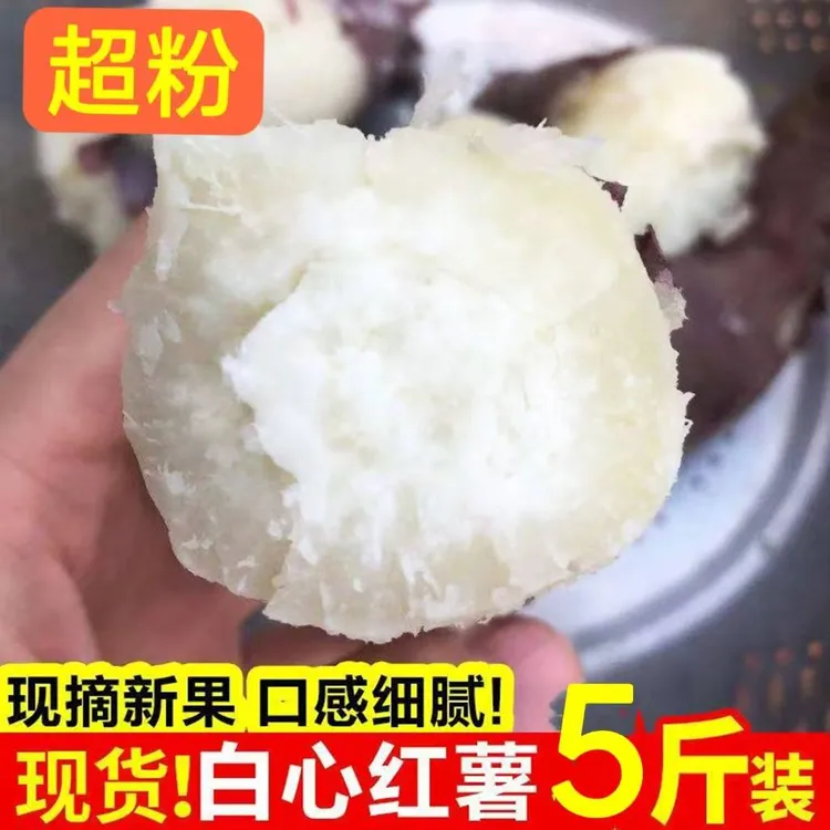 正宗白心白心薯河南2025年农家现挖白心红薯板栗薯