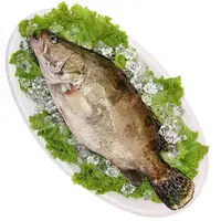 桂鱼550g-600g/条【需要宰杀请备注】