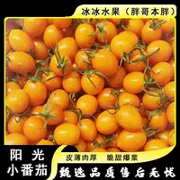 【散装】[N]阳光小千禧 份/净重2斤左右