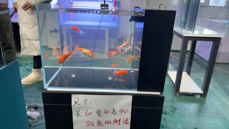 微瑕双底吸侧滤长60宽40高40空气缸溪流缸桌面缸兰寿缸