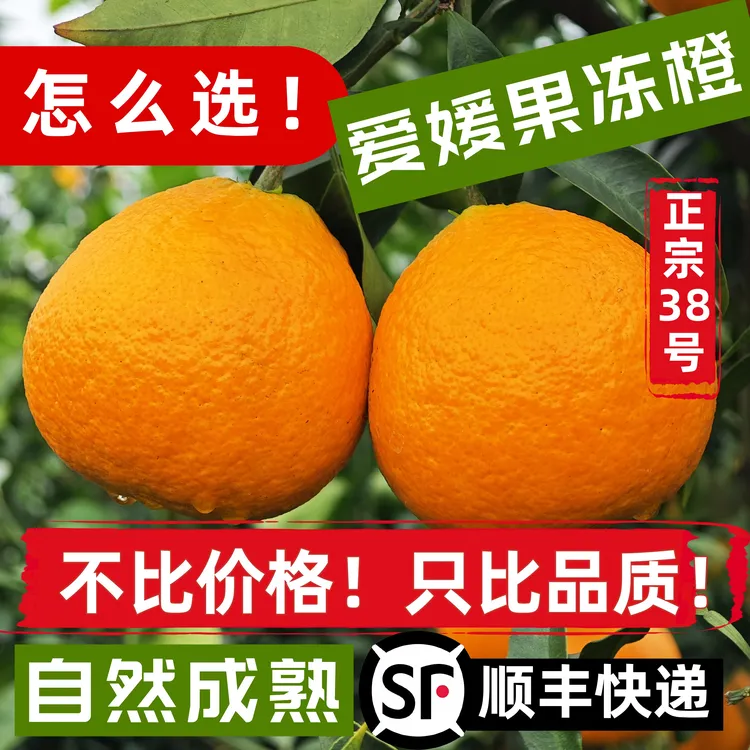 【顺丰快递】正宗爱媛38号果冻橙手剥橙皮薄多汁【现摘现发】汁水充足
