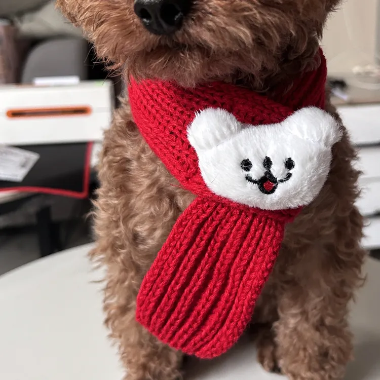 新年圣诞宠物围巾猫咪招财围脖冬季保暖针织狗狗装饰品喜庆红