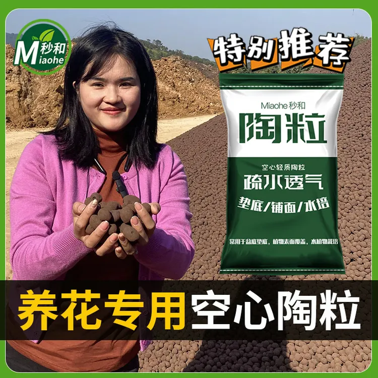 养花陶粒垫底疏水透气种花通用用水培多肉棒棒糖花卉绿植盆栽