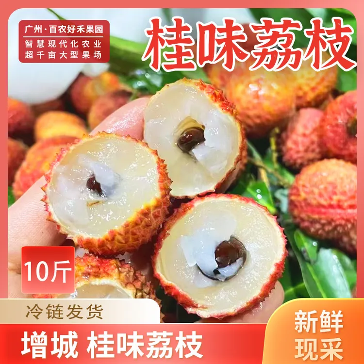 10斤省外增城桂味荔枝大果清甜多汁【冷链包邮】正宗新鲜荔枝