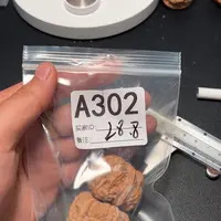 核桃摆件哈哈哈哈