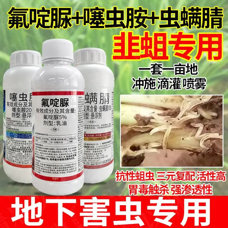 韭蛆黑头蛆专用药地蛆蒜蛆葱蛆姜蛆噻虫胺虫螨腈氟啶脲杀虫剂农药