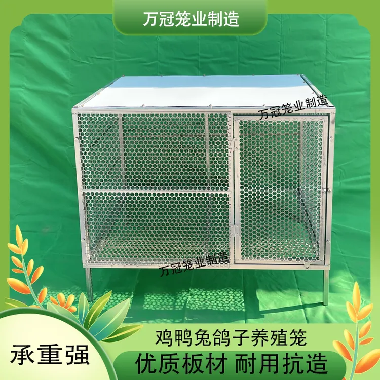 加密鸡笼家禽笼防黄鼠狼户外养殖笼鸡笼兔子笼笼子鸡笼子家用型