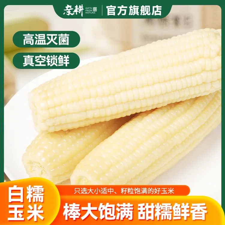【聚发财切片专属】亲耕白糯玉米新鲜东北糯玉米真空包装 260g*8穗