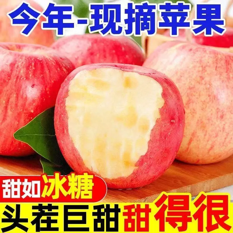 陕西头茬红富士i苹果 新鲜当季应季水果脆甜多汁 果农直销