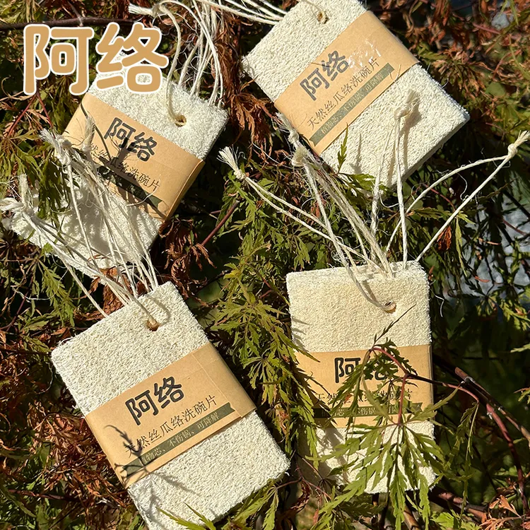 （阿络）5片装 丝瓜络洗碗刷清洁去油不伤锅洗锅洗碗家用厨房布