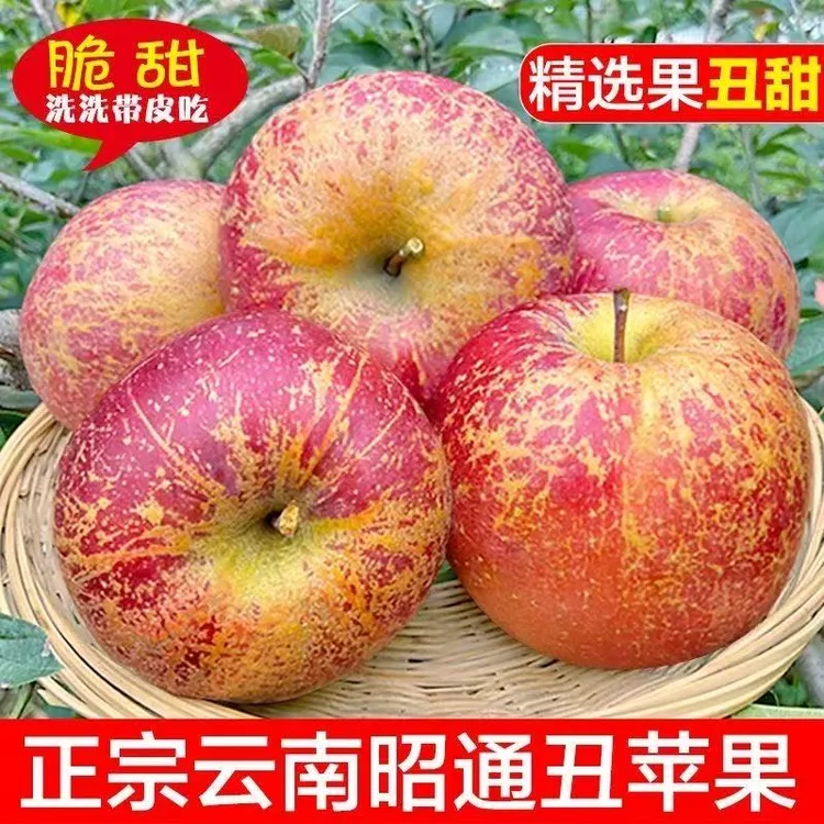 包邮正宗云南昭通冰糖心丑苹果新鲜现摘脆甜多汁水果