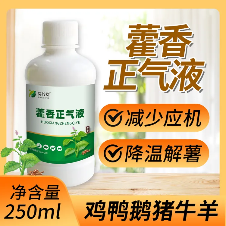 藿香正气液家禽兽用鸡鸭鹅鸽猪牛羊兔鹌鹑禽畜通用