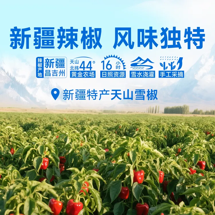 天山雪莲【多种口味组合】装新疆天山雪莲辣椒丝辣酱