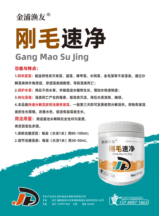 伊乐草刚毛藻水草挂脏水草活力差刚毛藻严重动物保健品水质调节剂