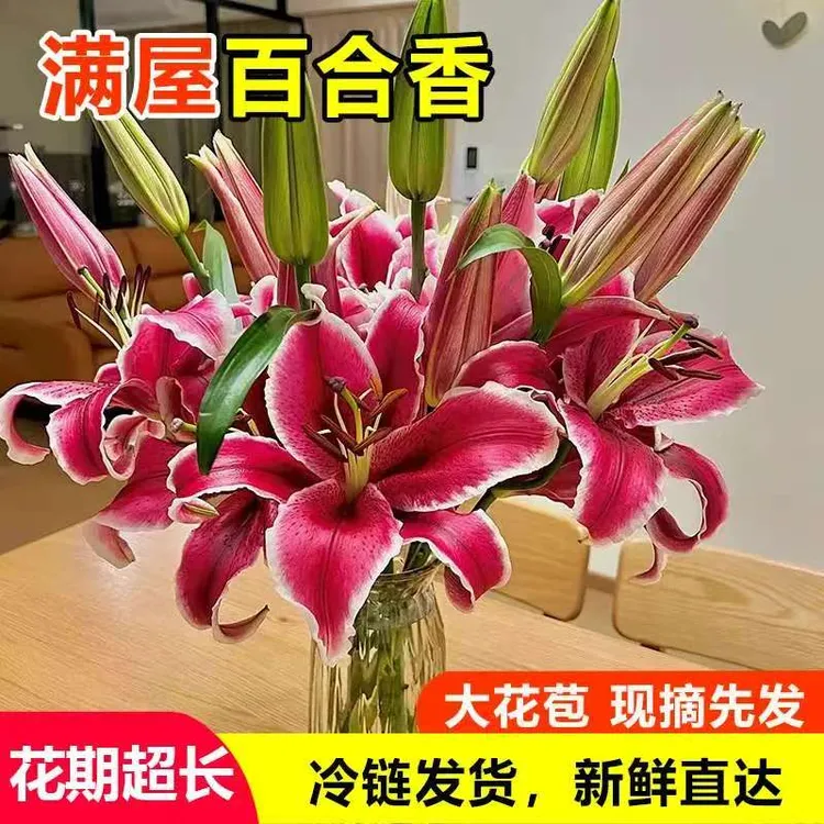 香水百合切花发京东冷链鲜花家用百合花重瓣百合新鲜花卉