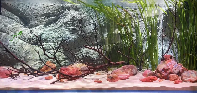 瑞典BTN奥里诺科3D水族背景板Back to Nature鱼缸内立体造景素材