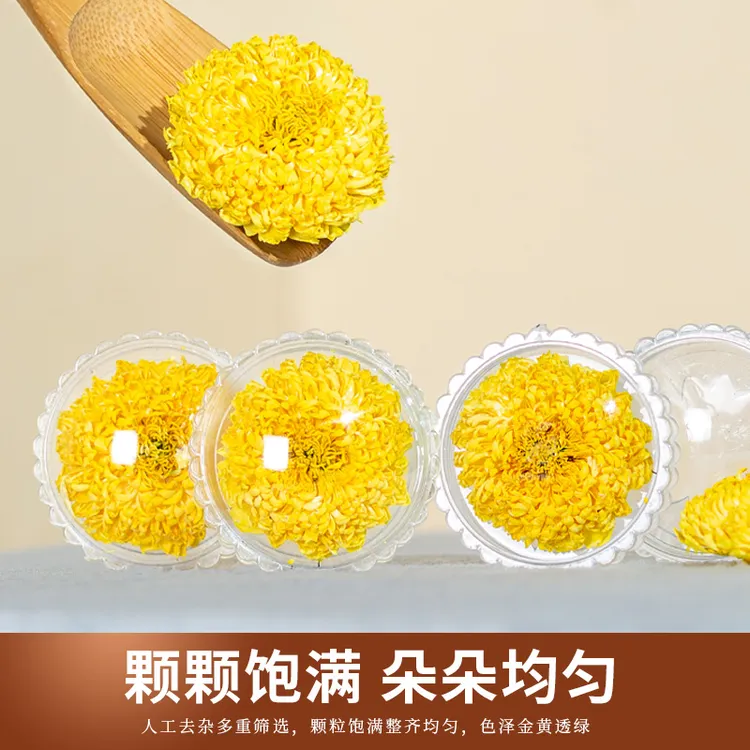 【买一送一】【江西婺源】婺源黄菊 高山种植黄菊花（婺源黄菊）