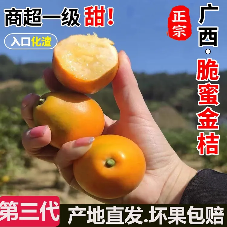 【爆甜】广西脆蜜金柑正宗第三代大果脆蜜金桔纯甜无酸蜜桔大金桔