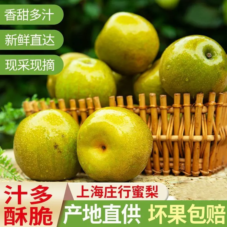 上海庄行翠冠梨应季水果脆甜多汁果肉细腻现摘现发礼盒装时令当天
