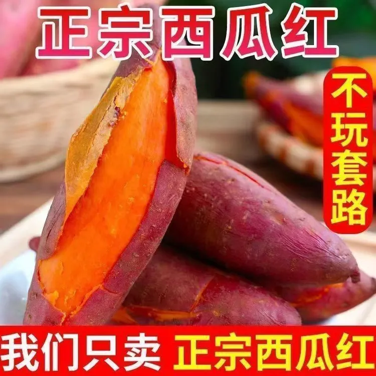 河南现挖西瓜红蜜薯沙地番薯软糯香甜农家自种烤地瓜西瓜红蜜薯