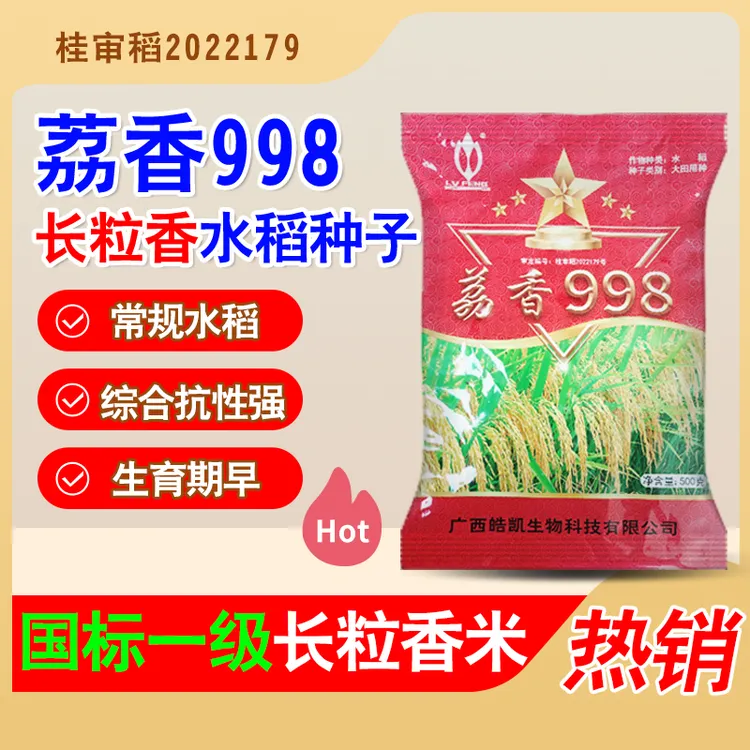浓香型一级香米荔香998常规稻种子水稻种子长粒香米种子可留种