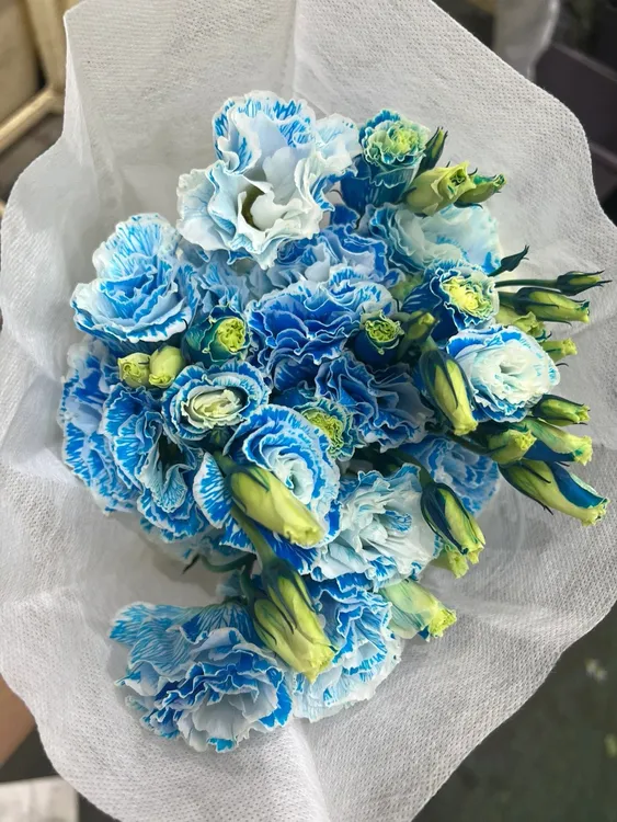 喜木*稀有色洋桔梗鲜花