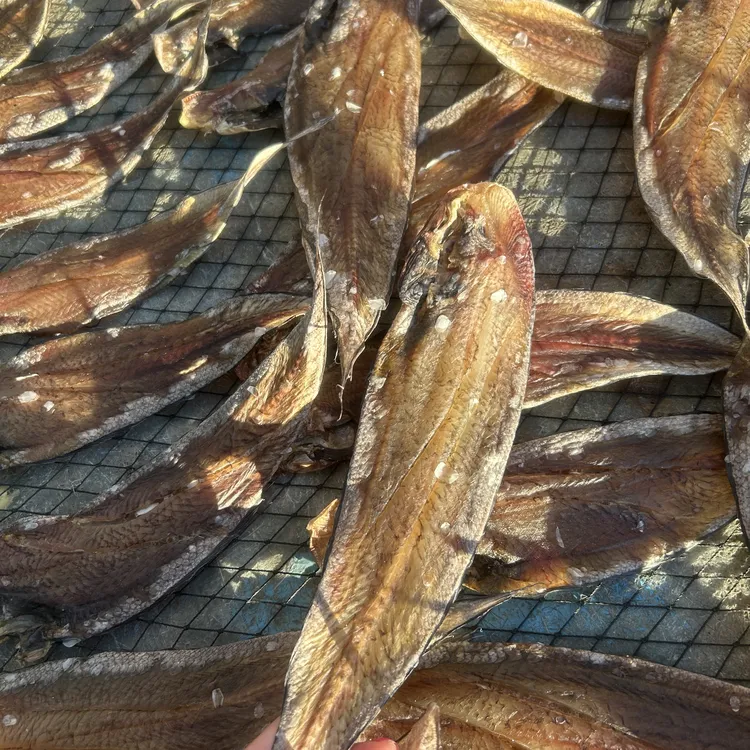 美味龙利鱼干渔家自晒海鲜干货