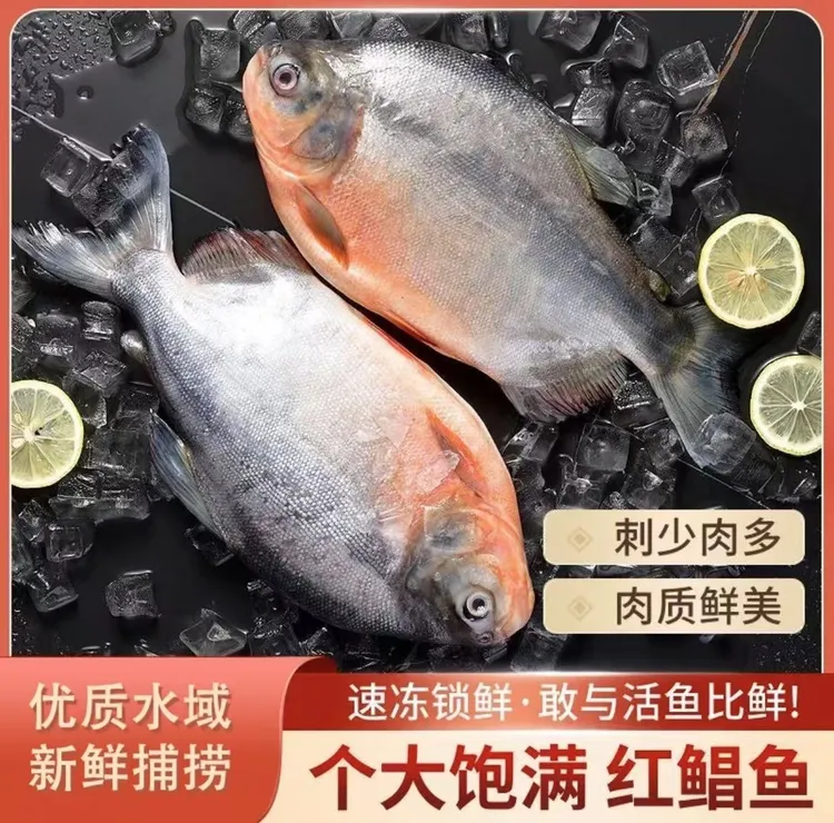 南海大号红鲳鱼 肉厚刺少新鲜美味顺丰冷链包邮