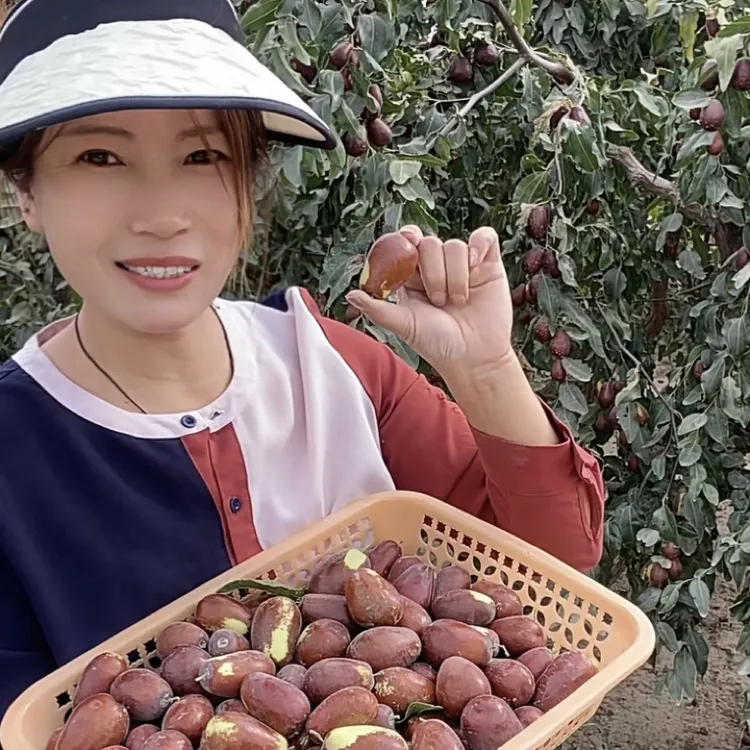 新疆和田大枣鲜枣，适合｛蒸煮吃｝5斤包邮航空发货