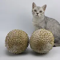 （猫哥）精选BB猫山王 马来西亚D197猫山王 液氮锁鲜顺丰包邮