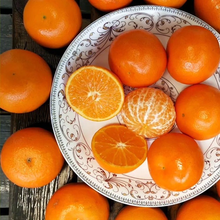 浙江临海涌泉蜜桔新鲜现摘应季水果香甜多汁无籽3斤装