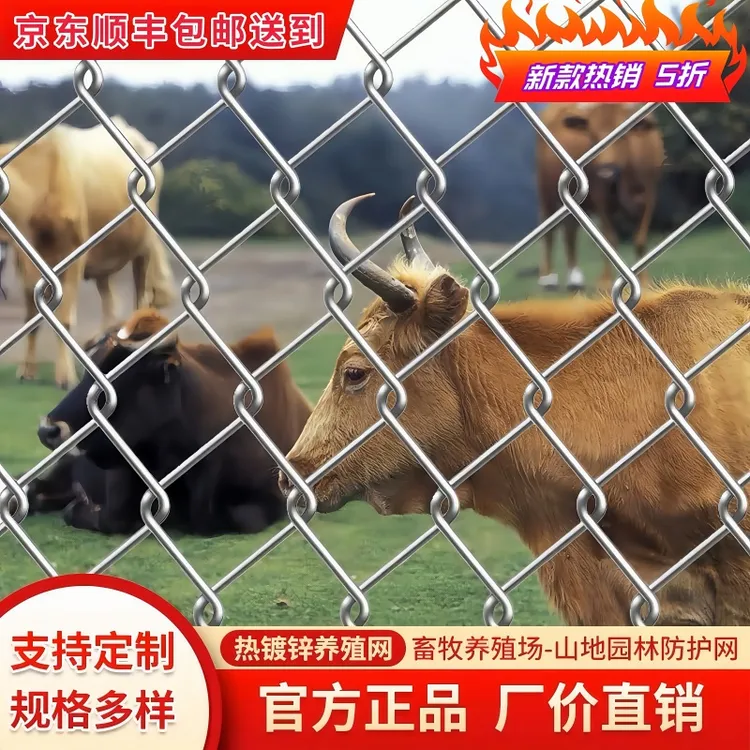 镀锌防锈铁丝网钢丝网围栏户外围护栏网家用养殖网圈地圈鹅勾花网