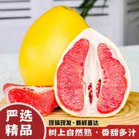 【红心蜜柚】福建平和老树红肉蜜柚新鲜采摘产地琯溪红柚子1.5-8斤