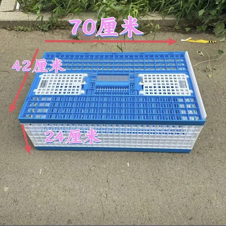 蓝白塑料拼装鸽子放飞笼训放笼实用耐用不可折叠信鸽赛鸽训放笼